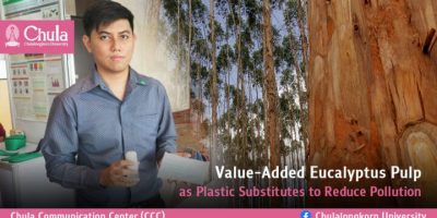 Chulalongkorn University (Thailand) – Value-Added Eucalyptus Pulp as Plastic Substitutes to Reduce Pollution