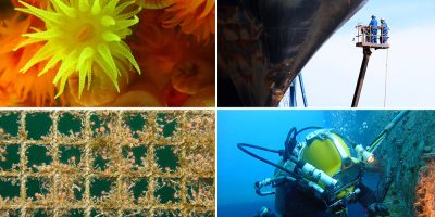 Tackling aquatic invasive species introduced via biofouling – GloFouling task force reviews progress