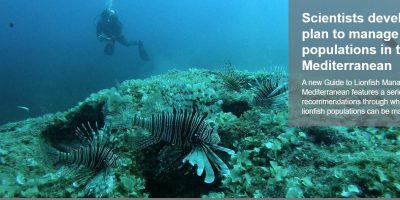University of Plymouth (UK) – Scientists develop a plan to manage lionfish populations in the Mediterranean
