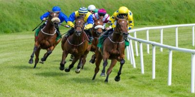 UK (University of Glasgow) A Common Drug Used In Racehorses Could Increase Risk Of Sudden Death