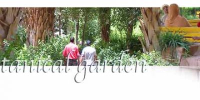 Egypt (Aswan University) Botanical Garden on Kitchener Island