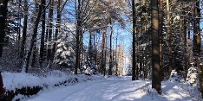 UK (Anglia Ruskin University) The real benefits of walking in a winter wonderland