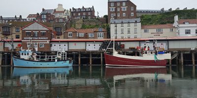 UK (University of Southampton) Scientists chart the course for a more sustainable future for UK fisheries