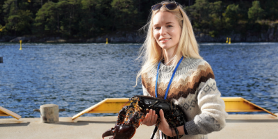 University of Agder (Norway) Lobsters in reserves grow faster