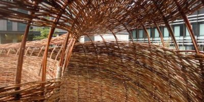 UK (Oxford Brookes University) WillowSpace sculpture to be unveiled at an Oxford Brookes pollinator meadow