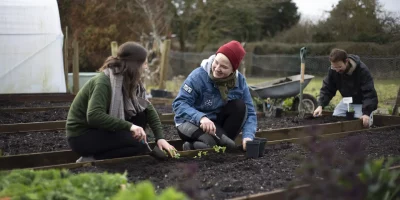 UK (University of Kent) Urban farming and mental health – getting out in nature can boost our wellbeing and food sustainability