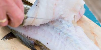 UK (University of Essex) Why we need to fall out of love with flaky white fish – study
